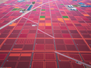 Drone Survey Best Practices Aerial Mapping Secrets